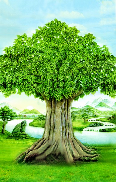 Cây Cổ Thụ Chùa Vạn Đức